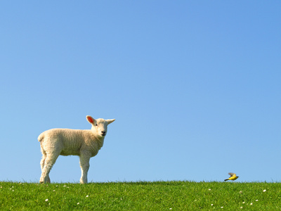 Fotolia_15505490_XS